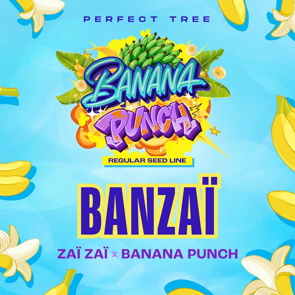 Banzai by Perfect Tree