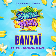 Banzai Regular Cannabis Seeds by Perfect Tree