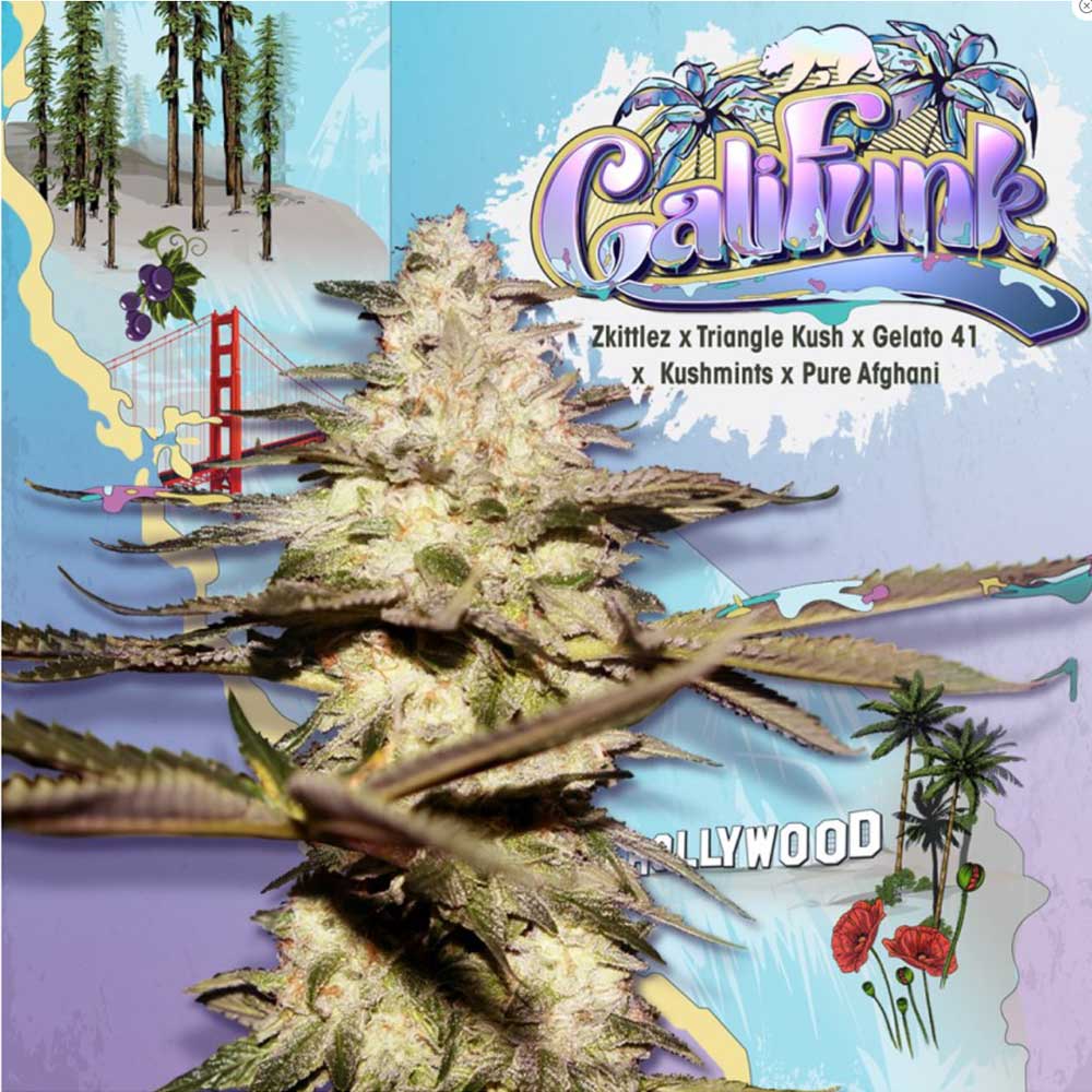 Califunk 710 by T.H. Seeds