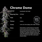 Chrome Dome Feminized Cannabis Seeds by Compound Genetics