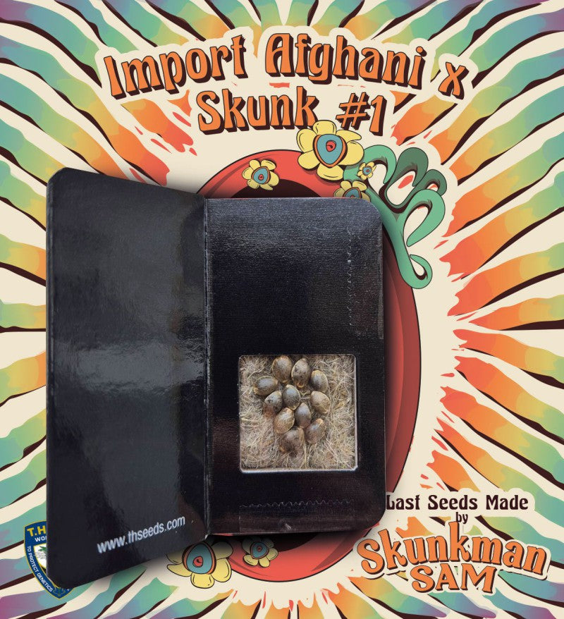 Skunkman Sam - Import AfghanxSkunk#1 by T.H.Seeds x Symbiotic Genetics