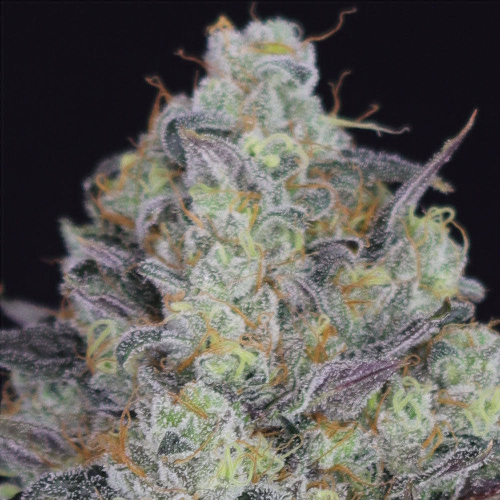 LA Juice by Crockett Family Farms