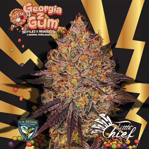 GeorgiaZgum by Little Chief Collabs