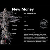 New Money Feminized Cannabis Seeds by Compound Genetics