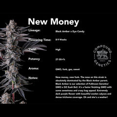 New Money Feminized Cannabis Seeds by Compound Genetics