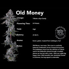 Old Money Feminized Cannabis Seeds by Compound Genetics