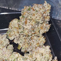 Pink Pie Feminized Cannabis Seeds by Karma Genetics