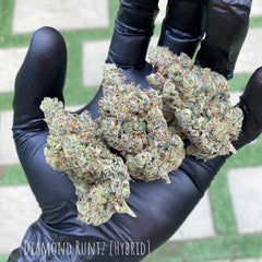 Diamond Runtz Feminized Seeds by Always Be Flowering