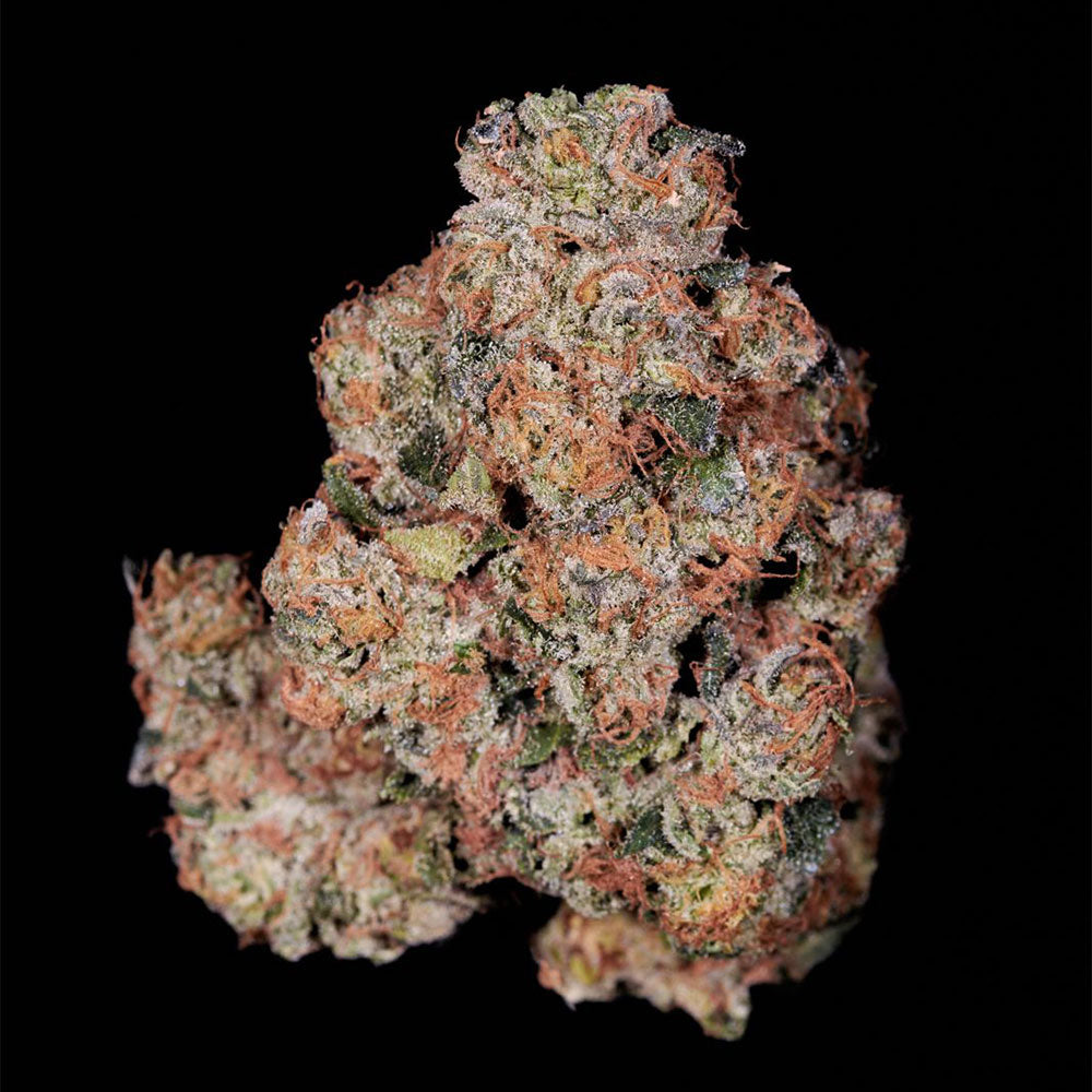 Pink Glue by Soma Seeds