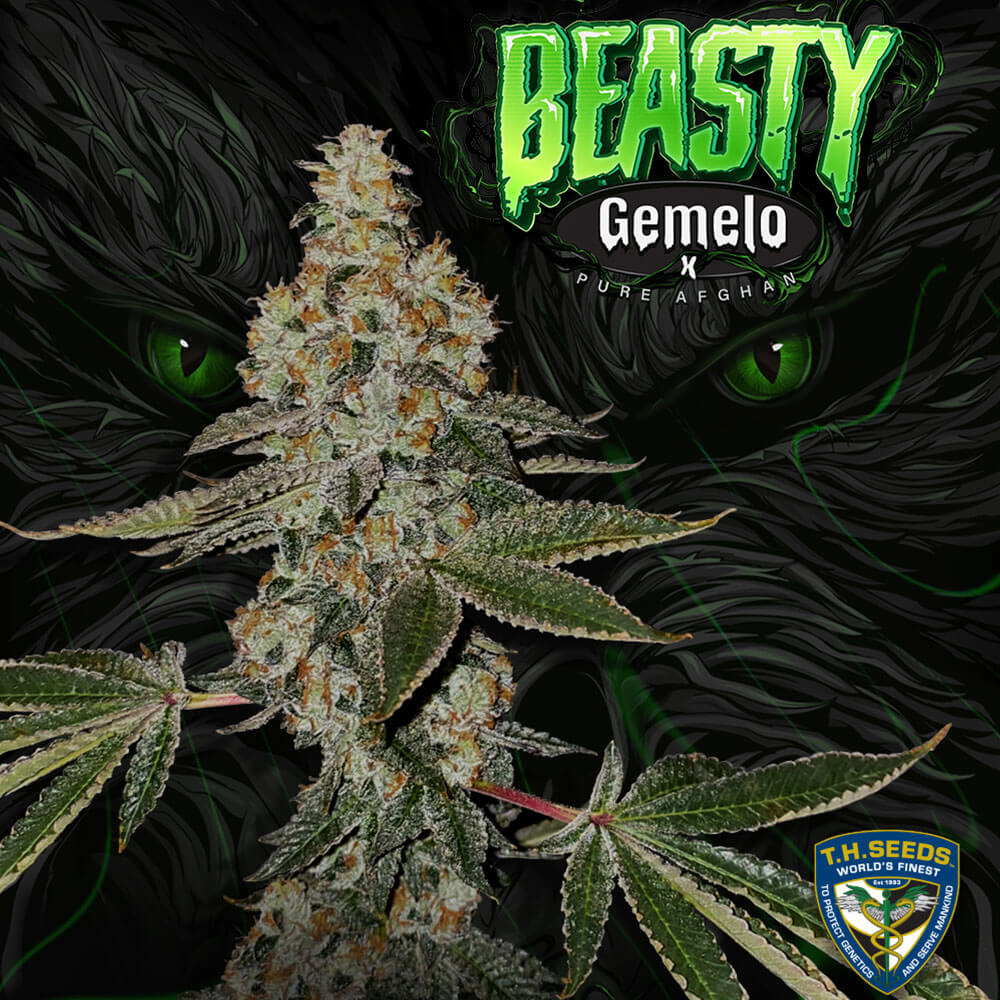 Beasty by T.H. Seeds