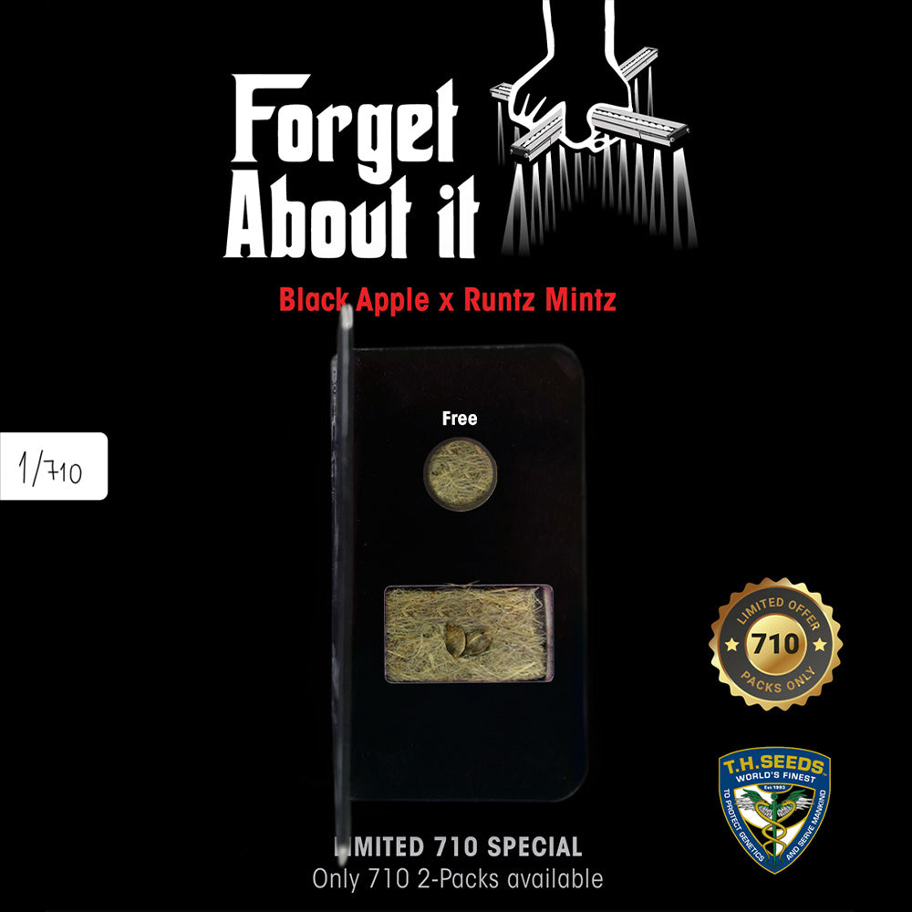 Forget ABout It by T.H. Seeds