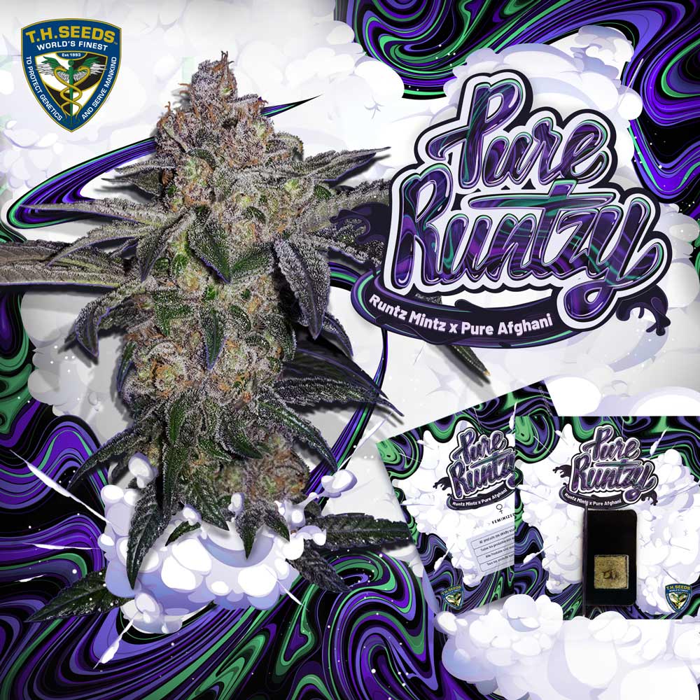 Pure Runtz by T.H. Seeds