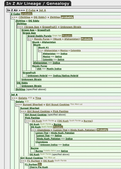 In-Z-Air Female Cannabis Seeds by Perfect Tree Seeds