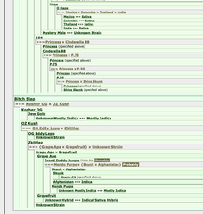 Lazar 115 Regular Cannabis Seeds by Dark Horse Genetics