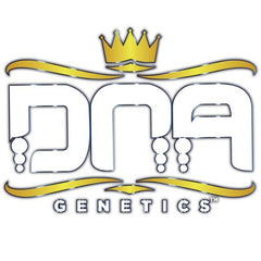 Holy Grail Kush Female Cannabis Seeds by DNA Genetics