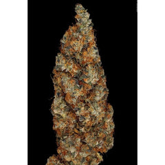 Rainbow Road Female Cannabis Seeds by Paradise Seeds