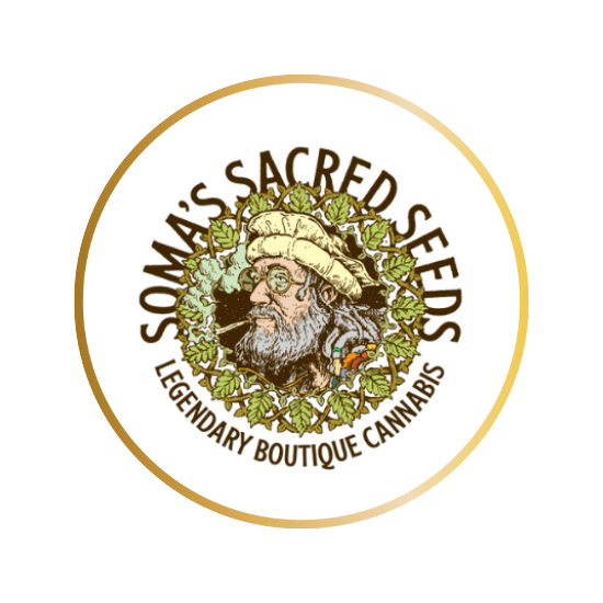 Soma Seeds logo
