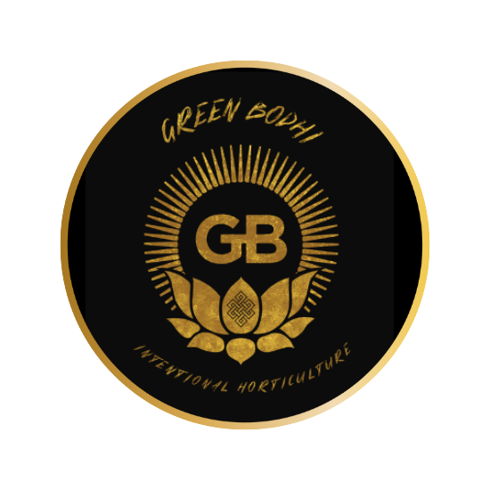 Green Bodhi logo