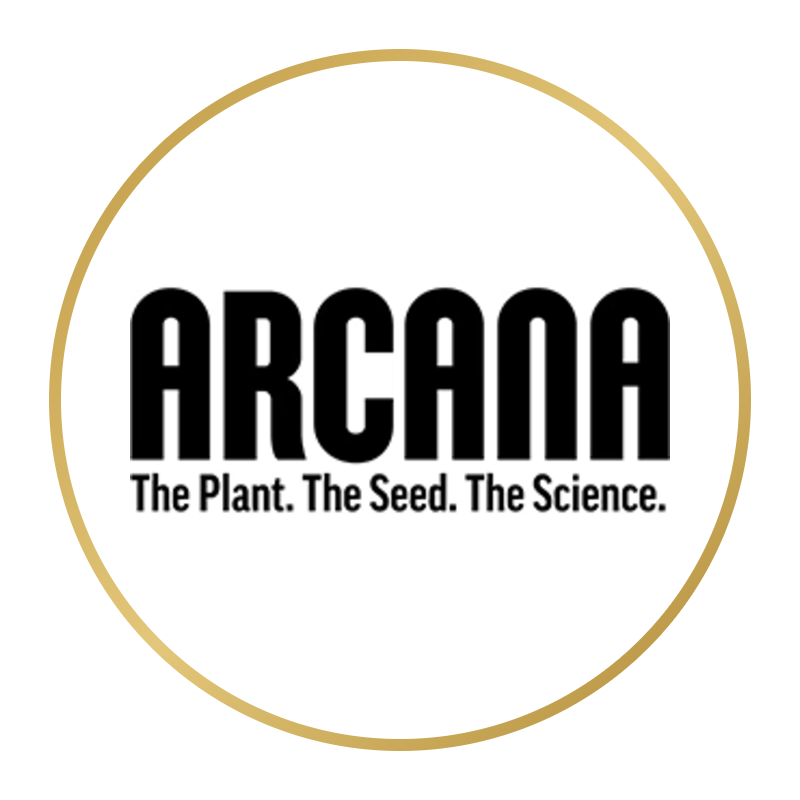Arcana Collective logo
