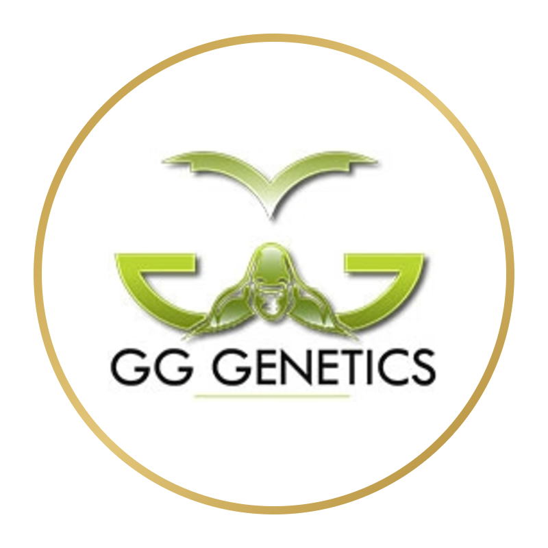 GG Genetics logo