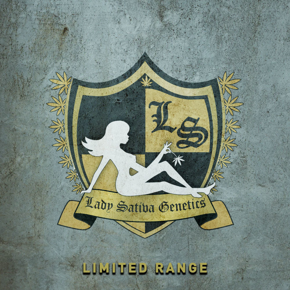 Lady Sativa Genetics logo