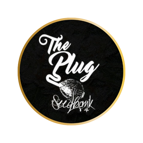 The Plug Seedbank logo