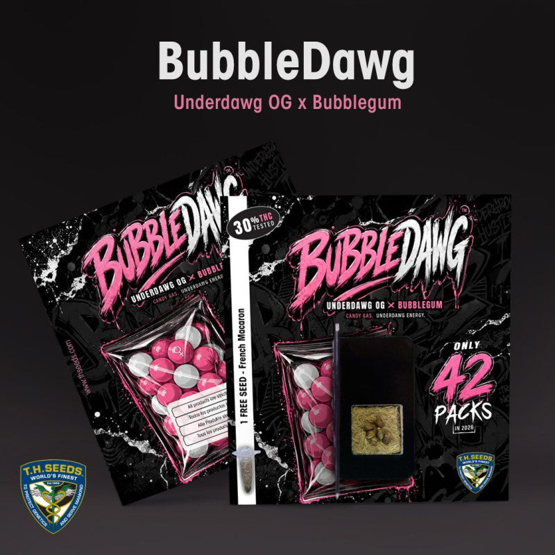 Bubble Dawg by T.H. Seeds