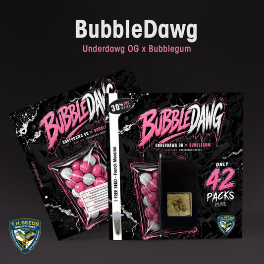 Bubble Dawg by T.H. Seeds