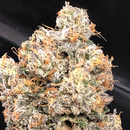 Dankalato by Dank Genetics