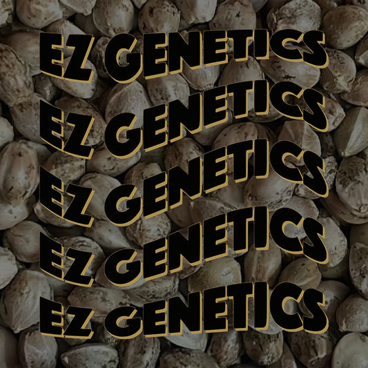 Cake Propellant by EZ Genetics
