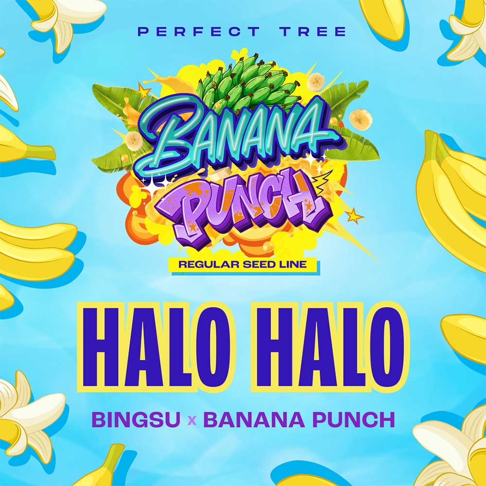 Halo Halo by Perfect Tree