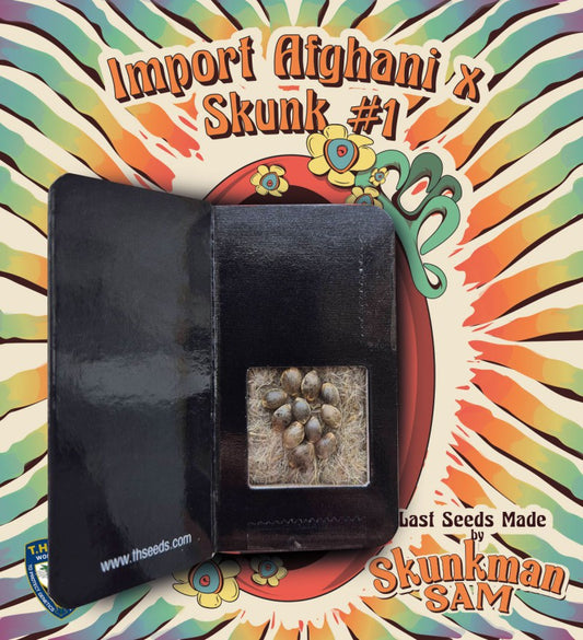 Skunkman Sam - Import AfghanxSkunk#1 by T.H.Seeds x Symbiotic Genetics