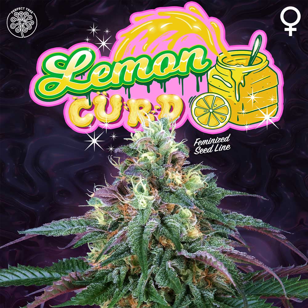 Lemon Curd by Perfect Tree