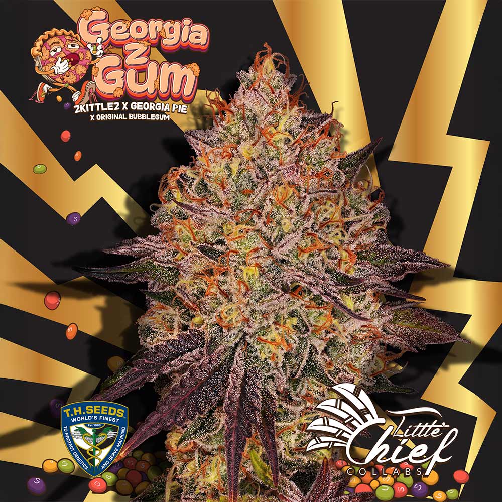 GeorgiaZgum by Little Chief Collabs