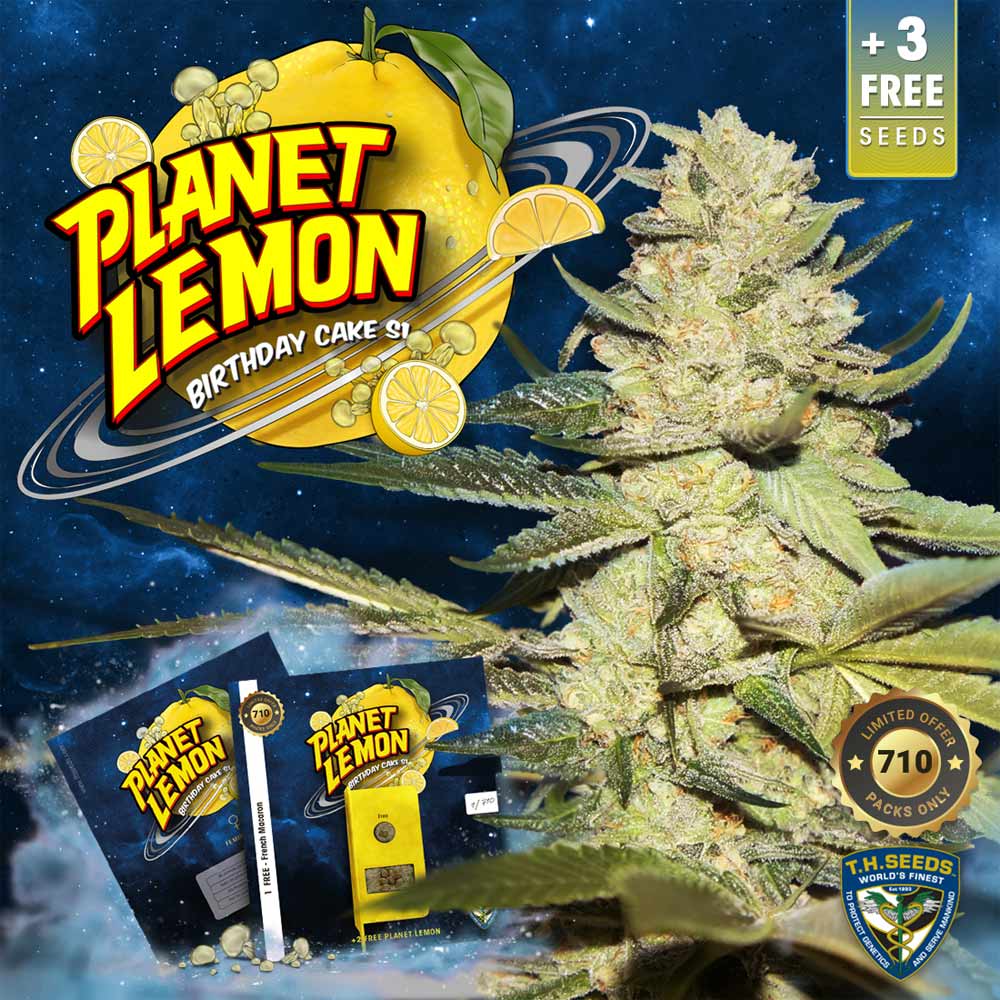 Planet Lemon by T.H. Seeds