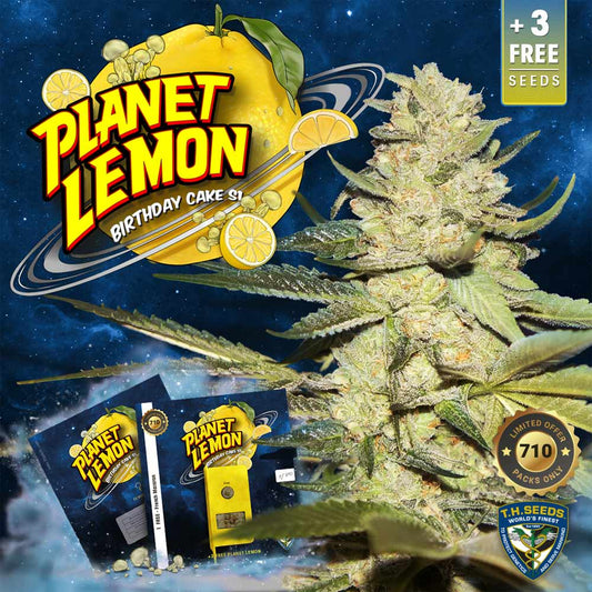 Planet Lemon by T.H. Seeds