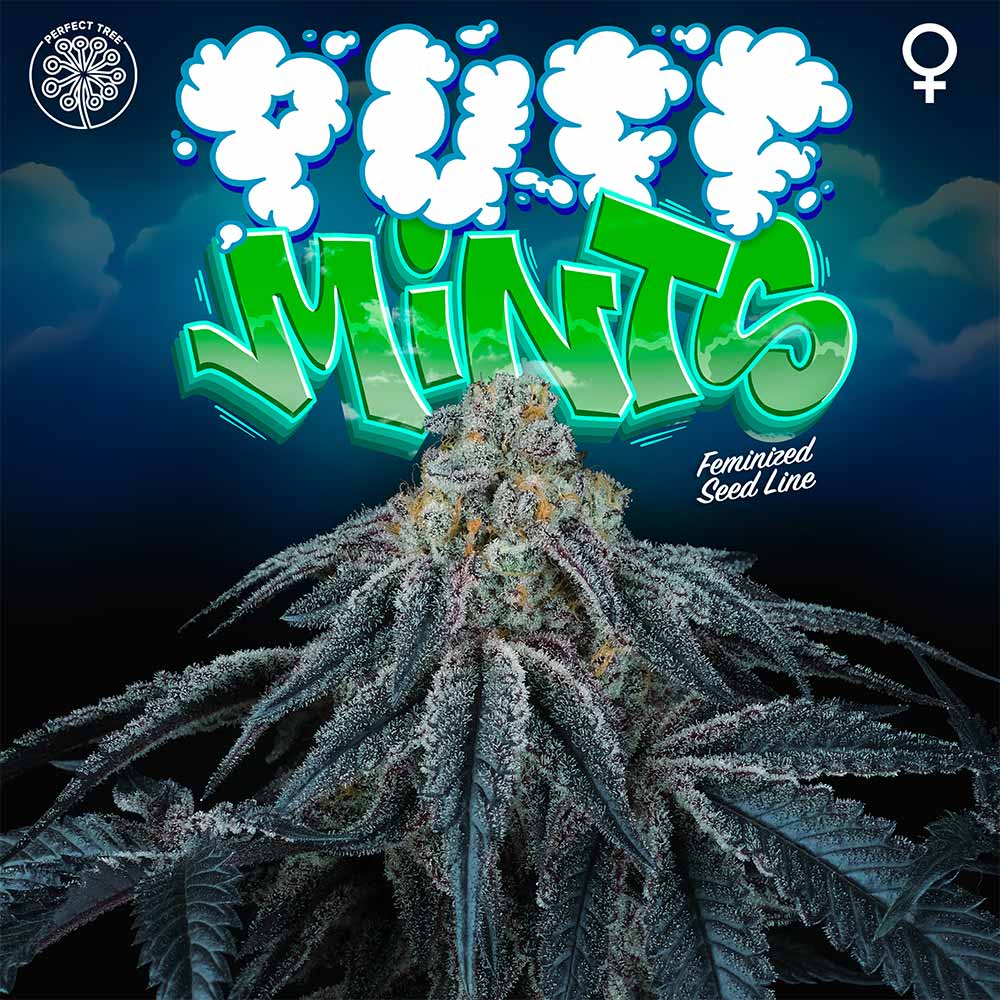 Puff Mints by Perfect Tree