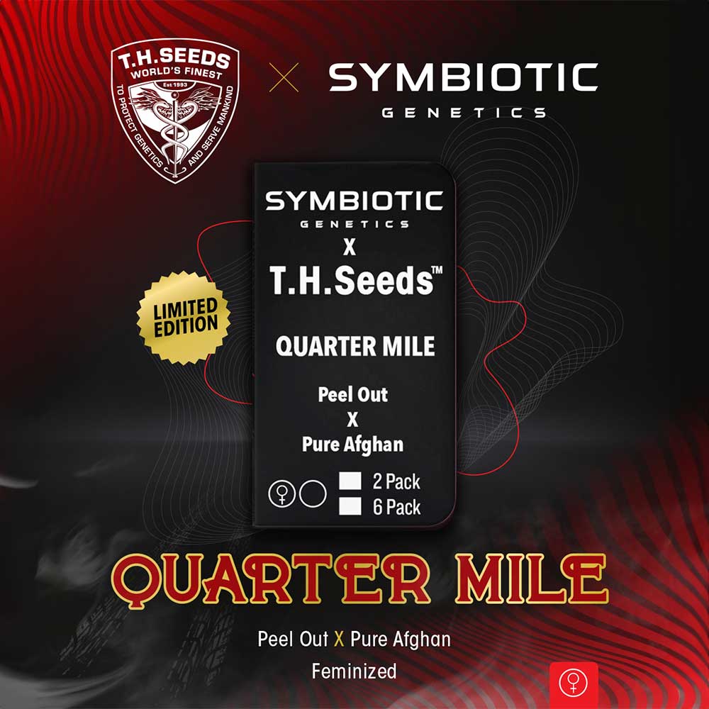 Quarer Mile by T.H.Seeds x Symbiotic Genetics