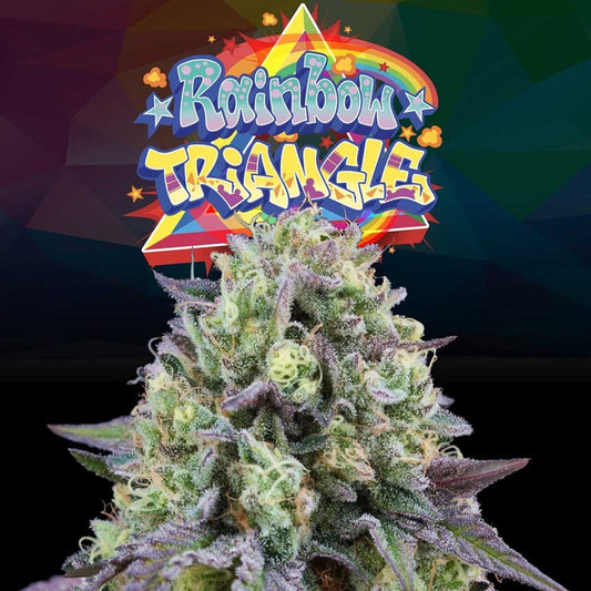Rainbow Triangle by Perfect Tree