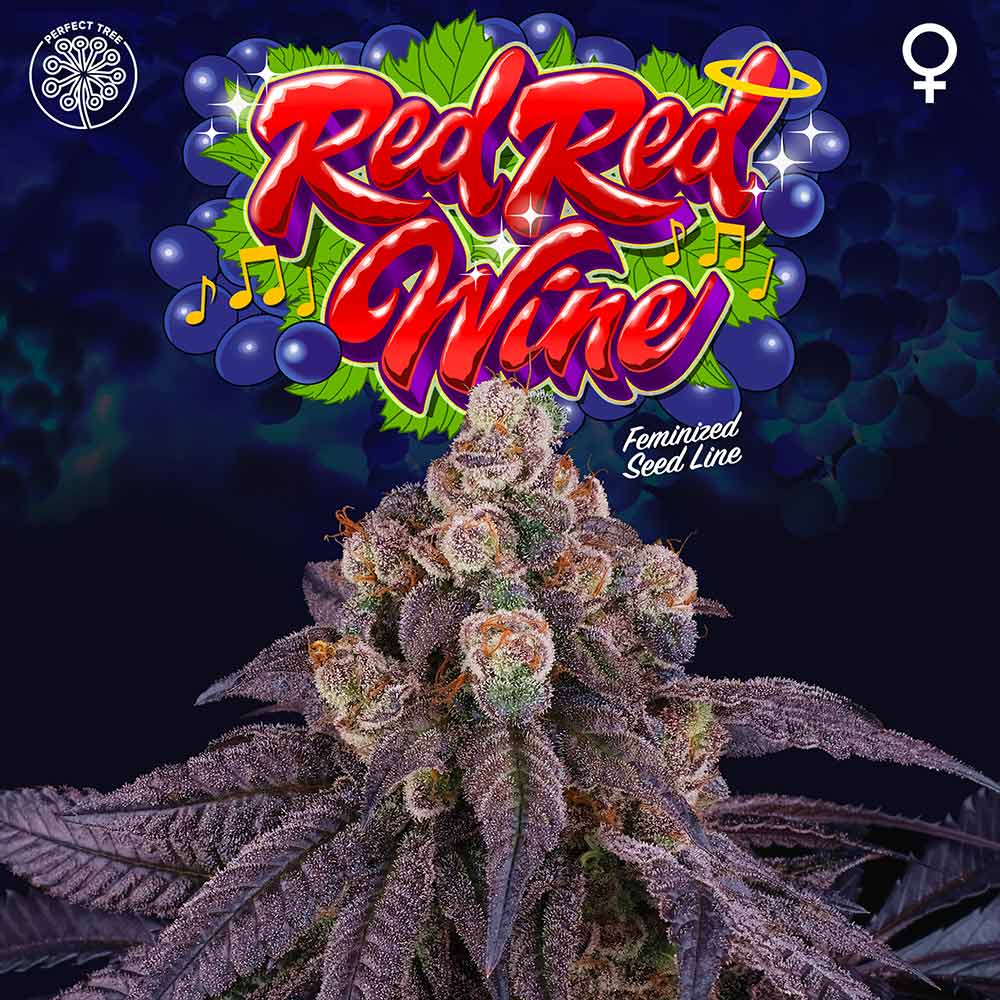 Red Red Wine by Perfect Tree