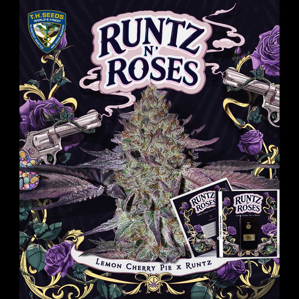 Runtz N Roses by T.H. Seeds