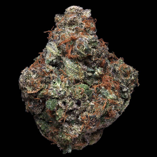 Sherble by T.H. Seeds