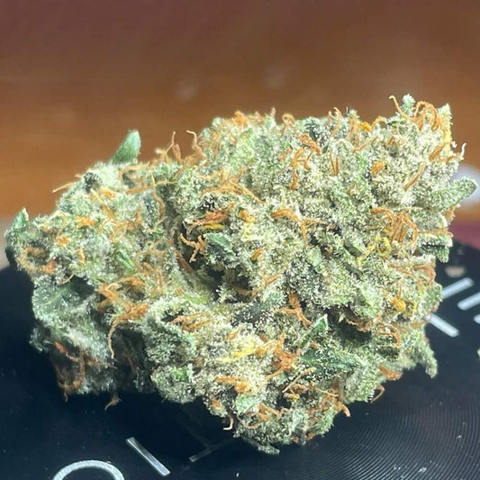 Sirius Blue by Night Owl Seeds