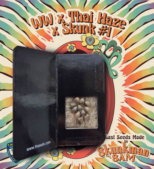 Skunkman Sam - WWxThai HazexSkunk#1 by T.H.Seeds x Symbiotic Genetics