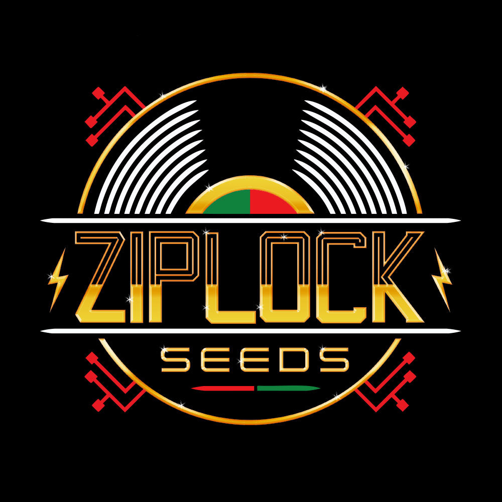 Night Vision by Ziplock Seeds