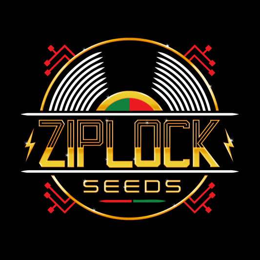 Night Vision by Ziplock Seeds