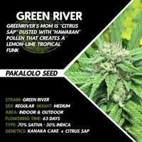 Green River by Pakalolo Seed Cannabis Seedbank