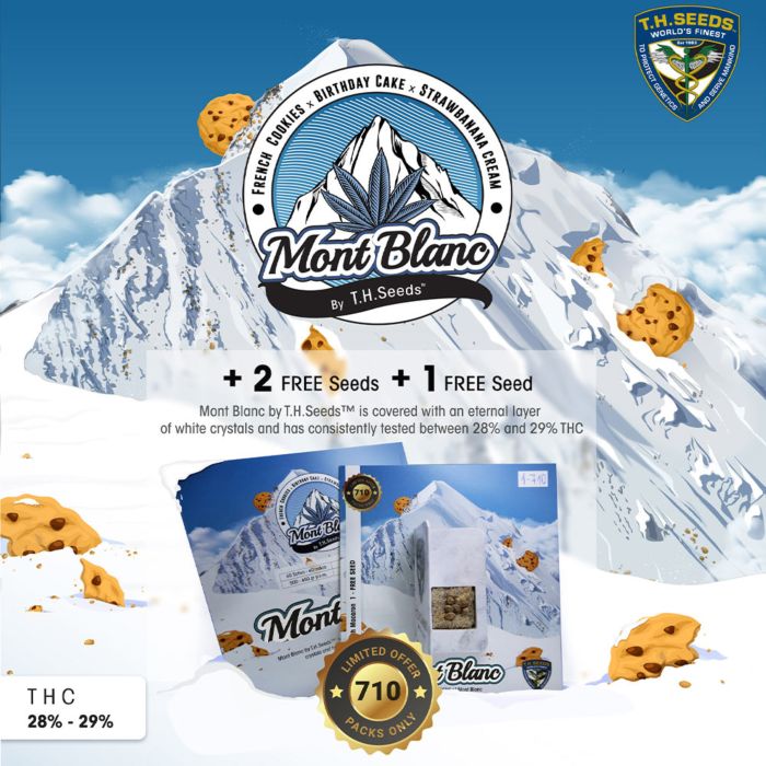 Mont Blanc Female Cannabis Seed by T.H.Seeds