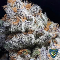 Purple Banana Cream Female Cannabis Seeds by T.H.Seeds