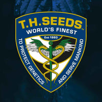 MK-Ultra Cake Regular Cannabis Seeds by T.H.Seeds